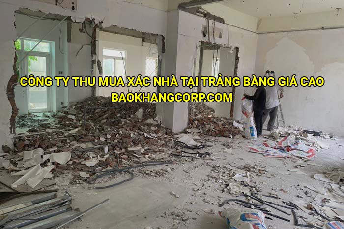 Công ty thu mua xác nhà tại Trảng Bàng giá cao