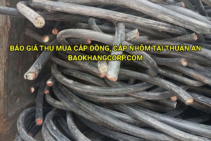 Báo giá thu mua cáp đồng, cáp nhôm tại Thuận An