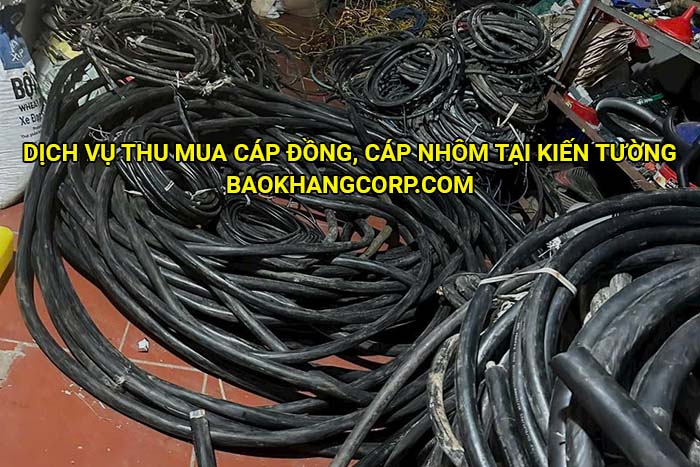 Dịch vụ thu mua cáp đồng, cáp nhôm tại Kiến Tường